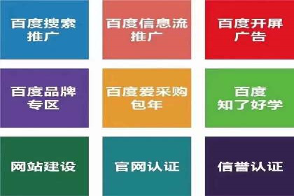 竞价推广代运营：成功案例解析